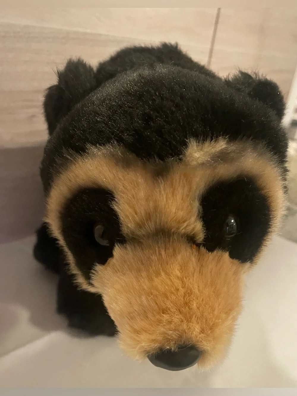 Wildlife Tree Sun Bear Plush Stuffed Animal 12” Realistic Black & Tan Bear 🐻